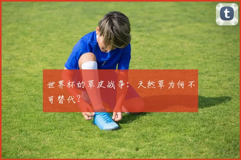 世界杯的草皮战争：天然草为何不可替代？