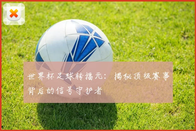 世界杯足球转播元：揭秘顶级赛事背后的信号守护者